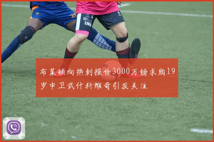 布莱顿向热刺报价3000万镑求购19岁中卫武什科维奇引发关注