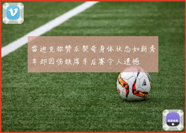 雷迪克称赞东契奇身体状态如新秀年却因伤缺席季后赛令人遗憾
